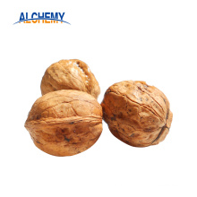 chinese walnut for sale